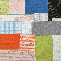 Carolyn Friedlander Scraps - Pack #10