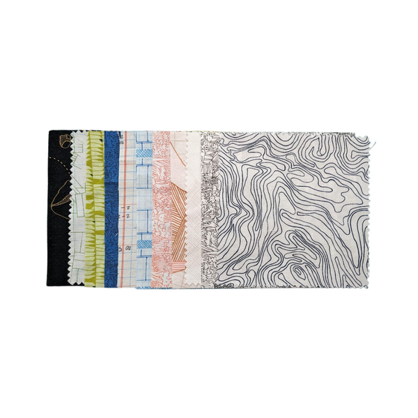 Carolyn Friedlander Scraps - Pack #4
